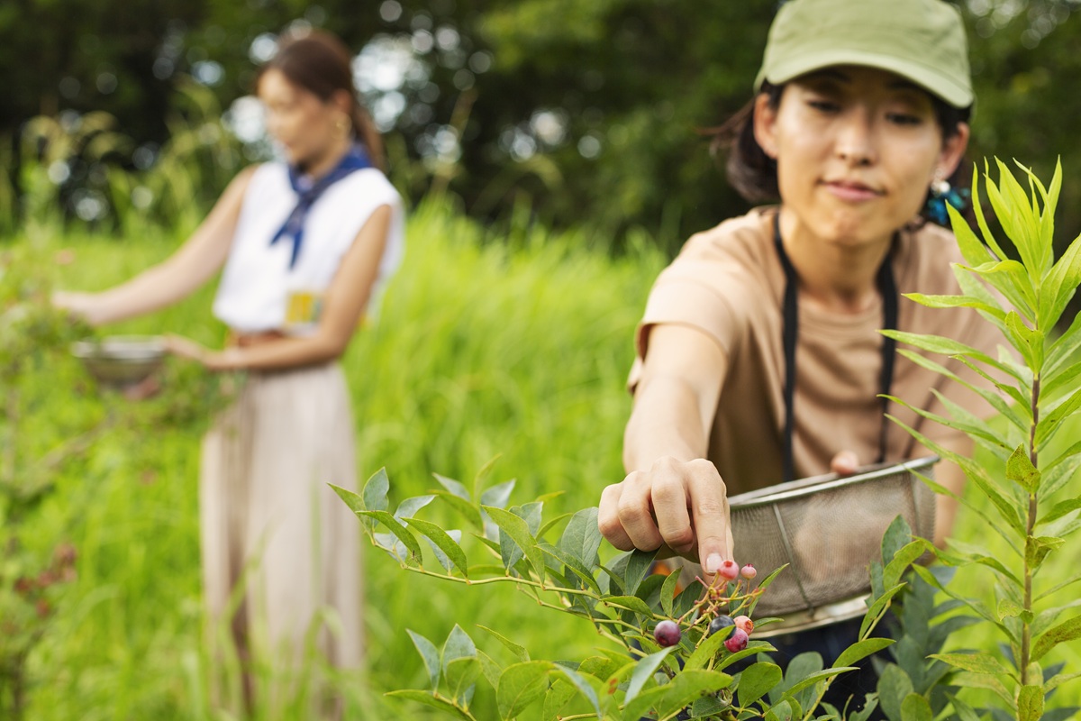 What ultimately defines these wellness travel trends shaping luxury escapes in 2026 is a shift in mindset. Luxury is no longer about separation. It is about alignment Wellness Travel Trends Shaping Luxury Escapes in 2026