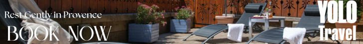 Revive and Restore with YOLO Travel