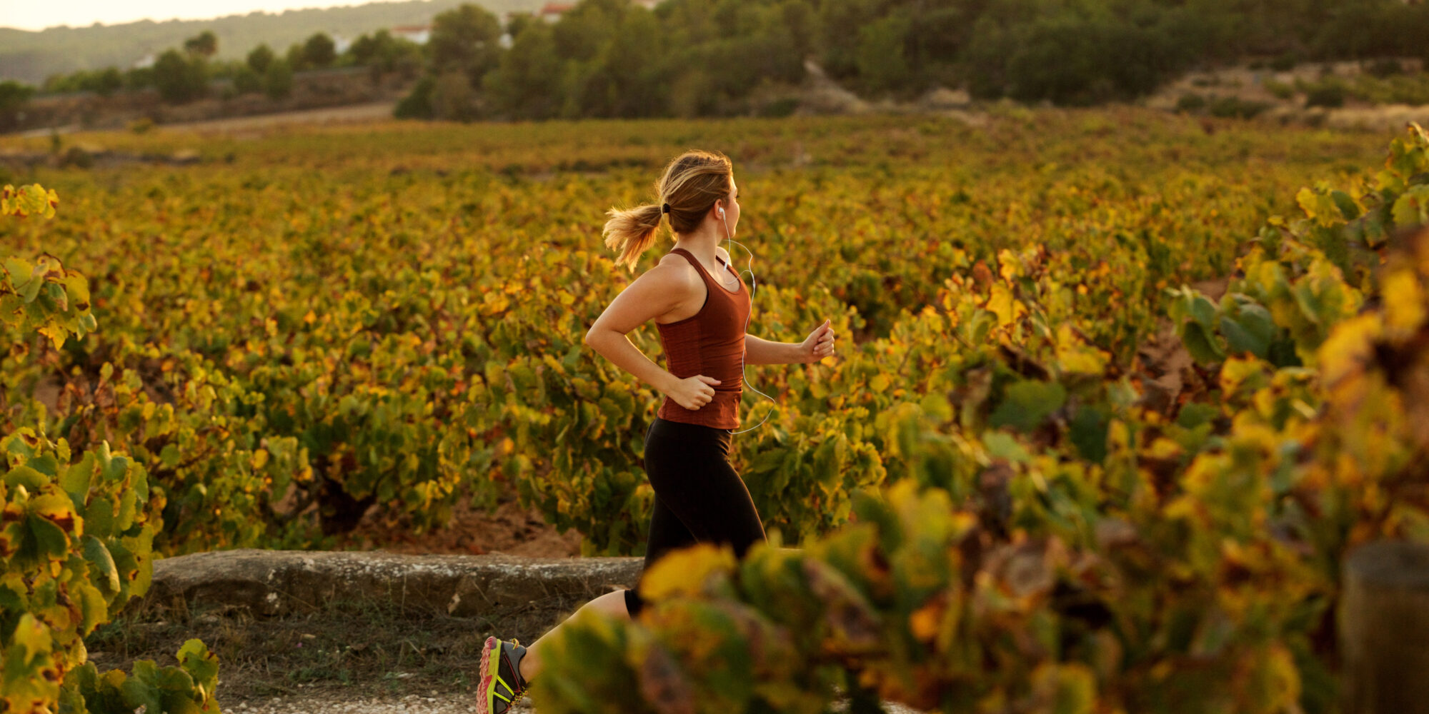 A woman trail running through a vineyard. A woman trail running through a vineyard.